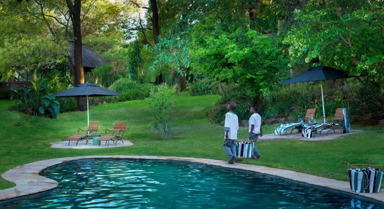 Stanley And Livingstone Pool