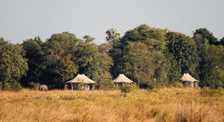 Musekese Camp Tents