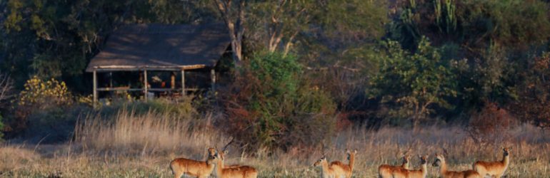 Ntemwa Busanga Plains Camp View