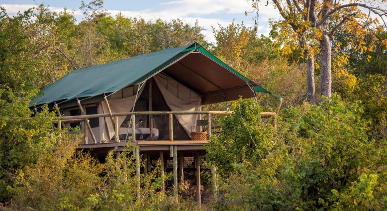 Deteema Springs Camp Tent View