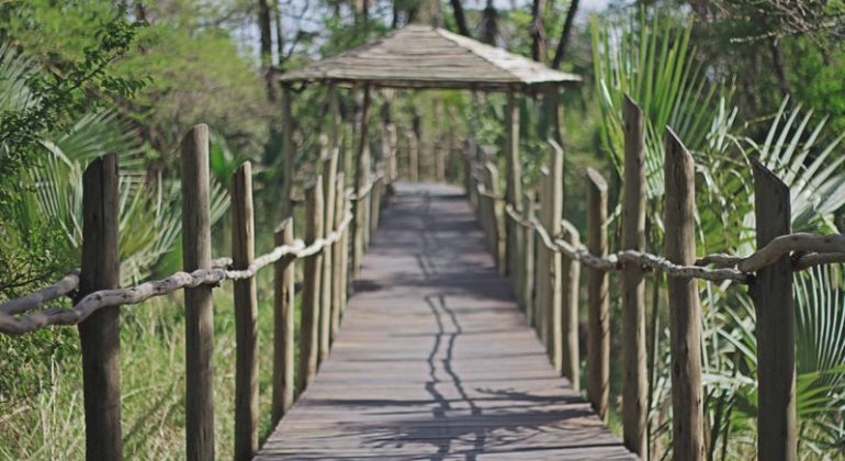 Chem Chem Lodge Walkway