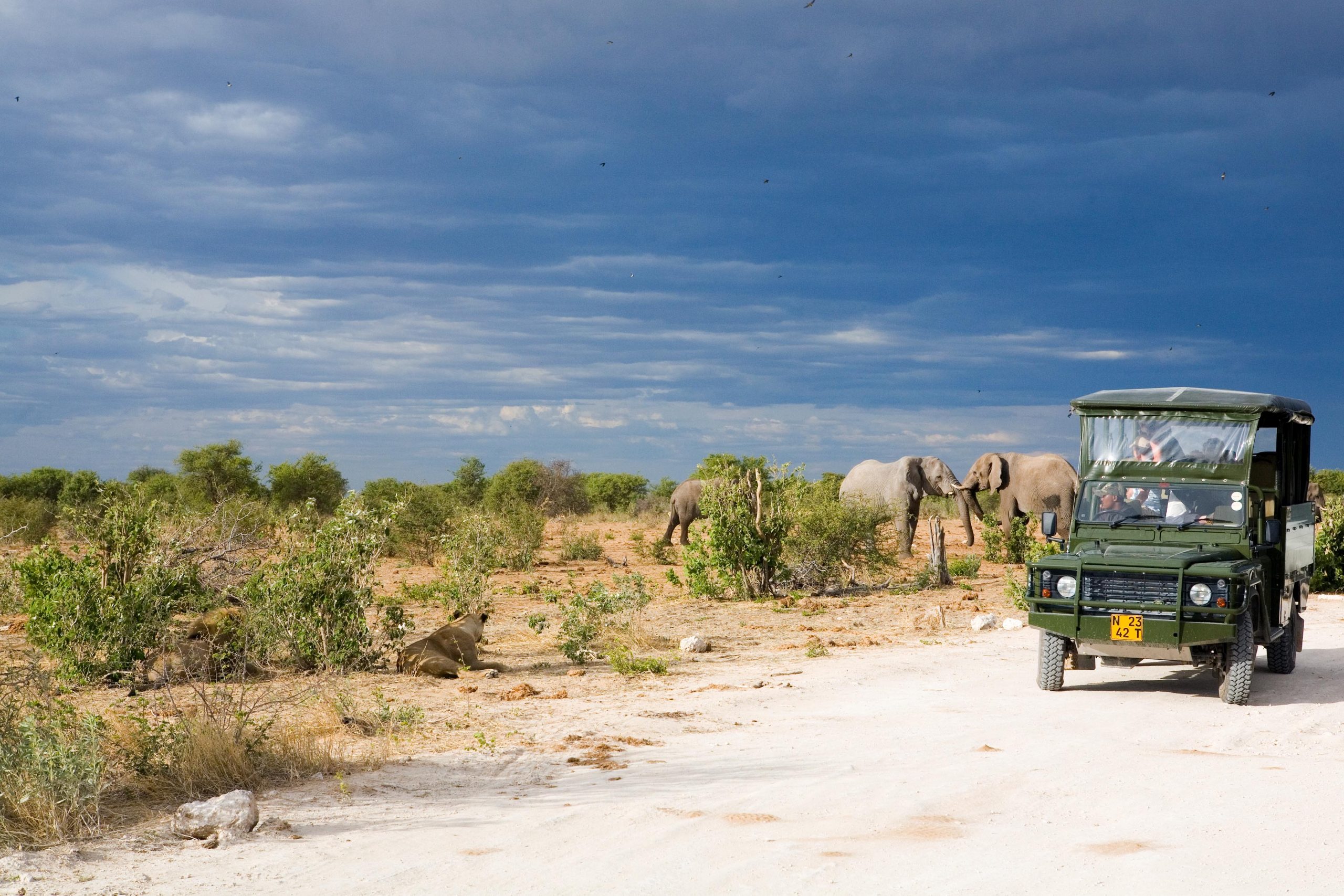 Let’s Go to Namibia with Smita in 2021 - Chalo Africa