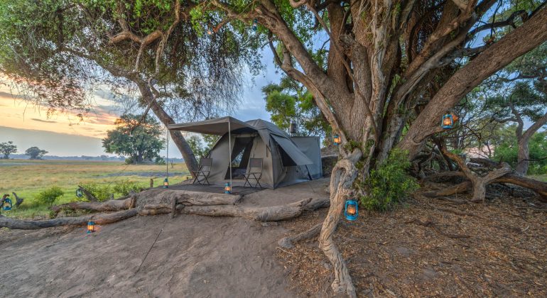 Beagle Expedition Tent Exterior