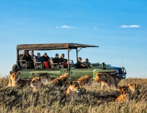 Entara Game Drive