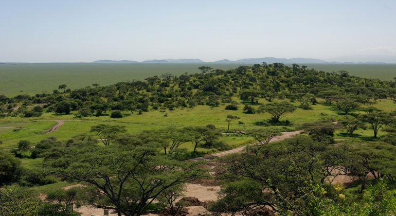 Aerial View Of Area