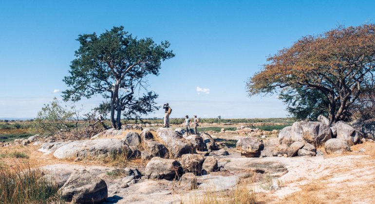 Usangu Expedition Camp Walks