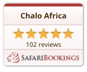 Safari Reviews