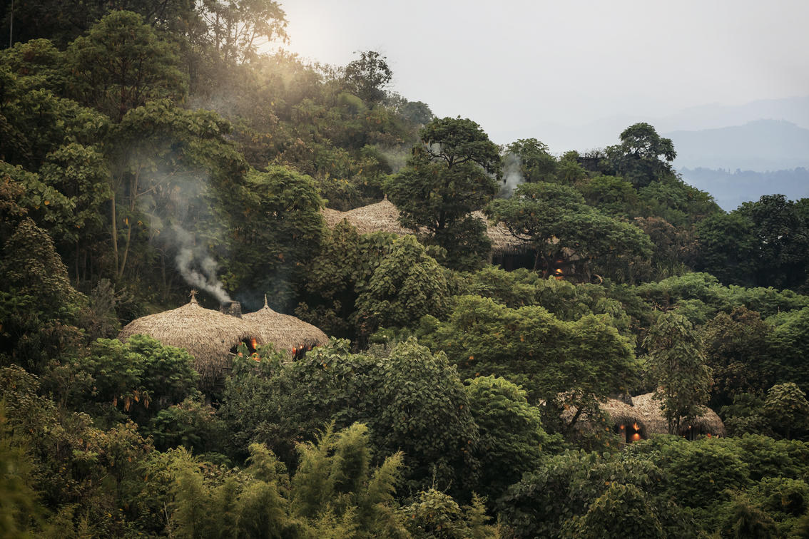 Wilderness Bisate View