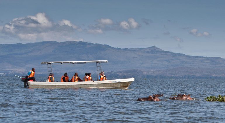 Boat Rides