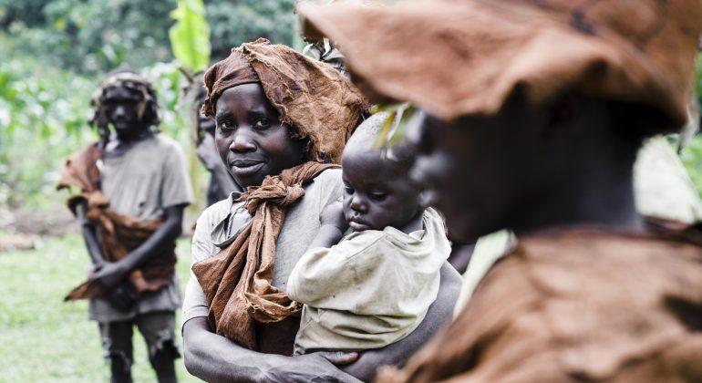 Uganda, Bwindi Impenetrable Forest, Gorilla Forest Camp