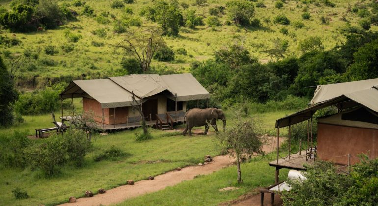 Elewana Serengeti Migration Camp Room View