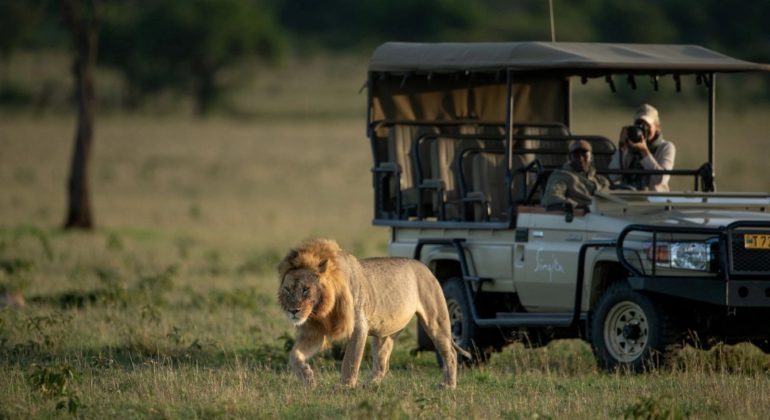 Game Drive Singita Milele