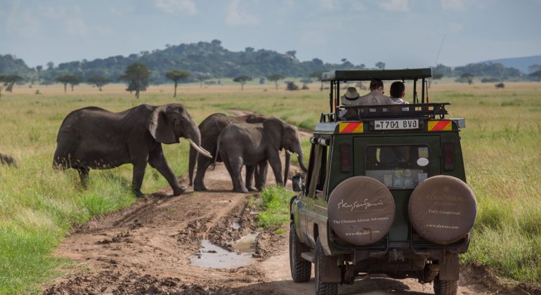 Game Drive In Serengeti