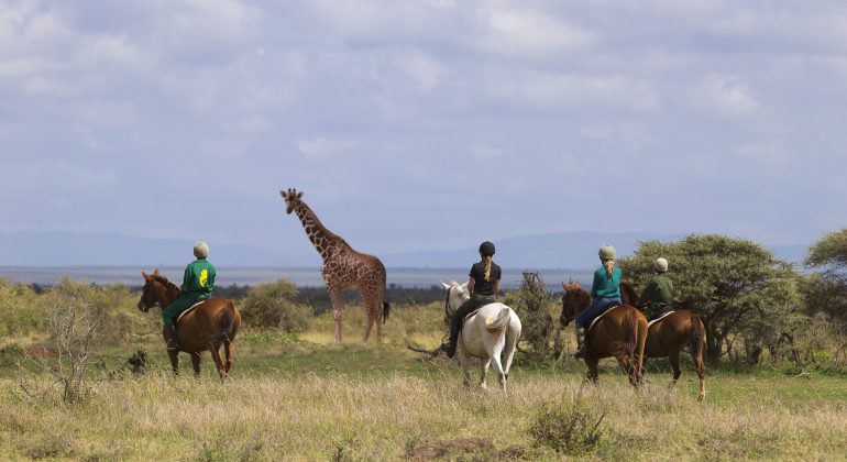 Horseback Riding