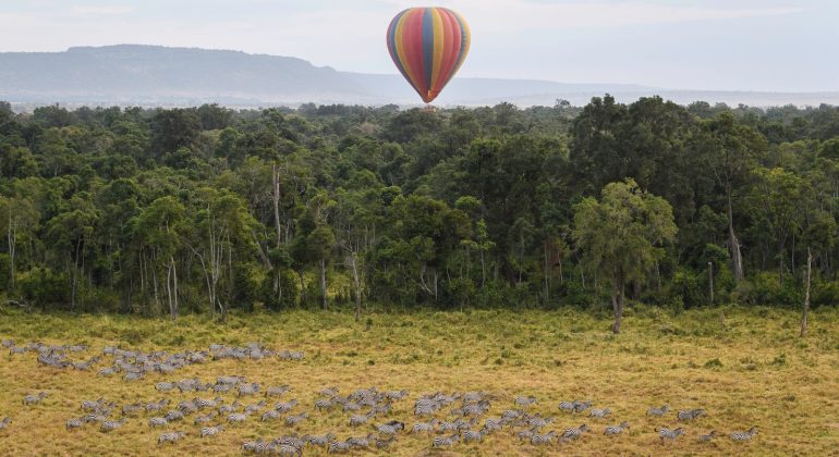 Hot Air Balloon View