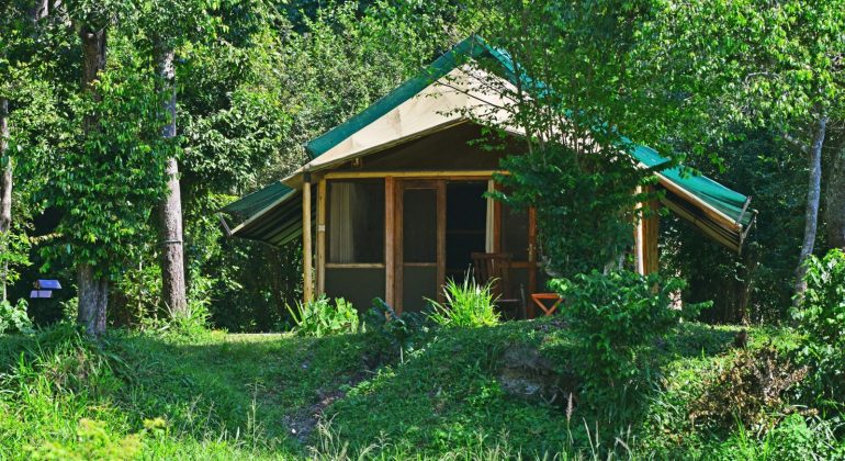 Ishasha Wilderness Camp