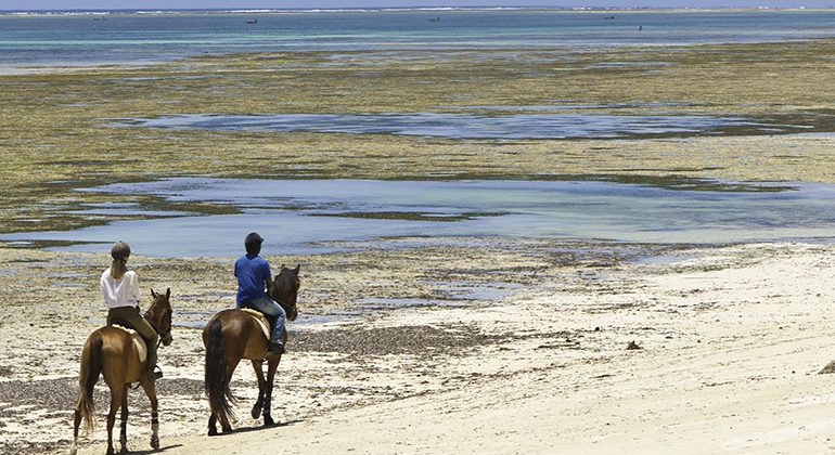 Kinondo Kwetu Hotel Horseriding