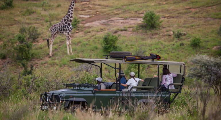 Mara Savanah Game Drive