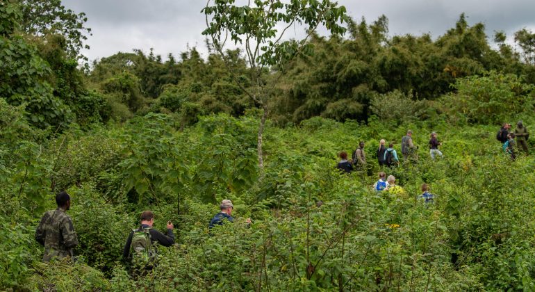 Sabyinyo Silverback Lodge Trekking