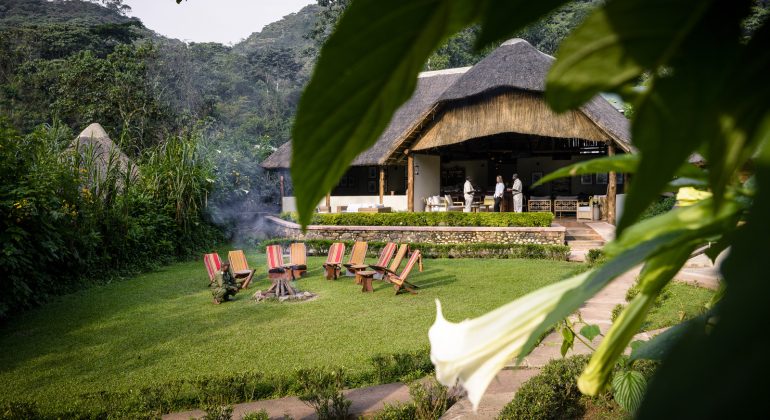 Uganda, Sanctuary Gorilla Forest Camp