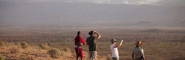 Walking Safari