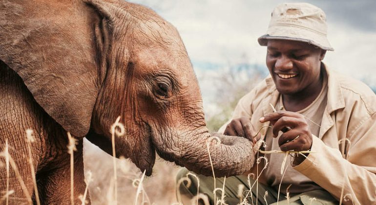 Sheldrick Trust