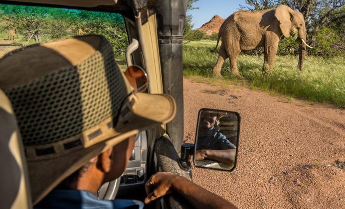 Elephant Game Drive