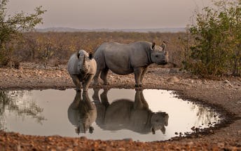 Namibia Self Drive