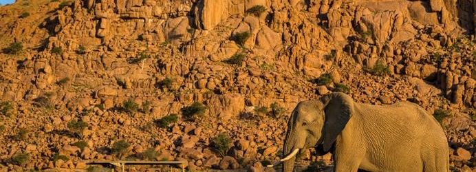 Self Drive Twyfelfontein, Namibia